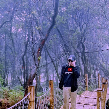 Profile photo of imamhaddad