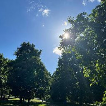 Profile photo of robbiatuladdawiyah